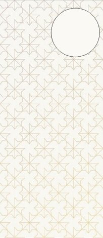 Декор Cielo e Terra Stelle Super Bianco 119,8x274,8