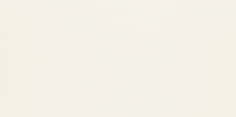Плитка Duo white 29,8x59,8