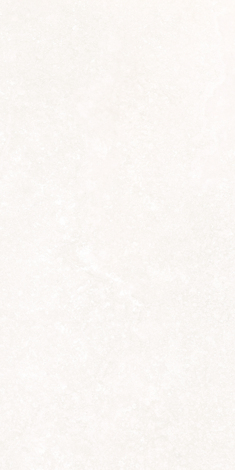 Керамогранит Echo Antico cross 59,8x119,8