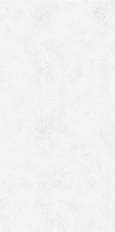 Плитка Echo Brush silver STR 59,8x119,8