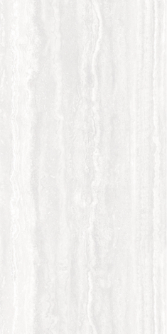 Плитка Echo Celio vein silver 59,8x119,8