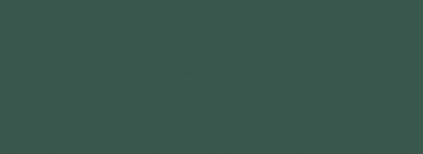 Плитка Fashion green 32,8x89,8
