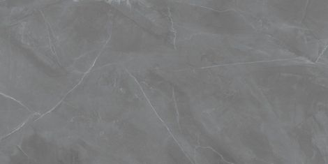 Керамогранит Grey Pulpis POL 119,8x239,8