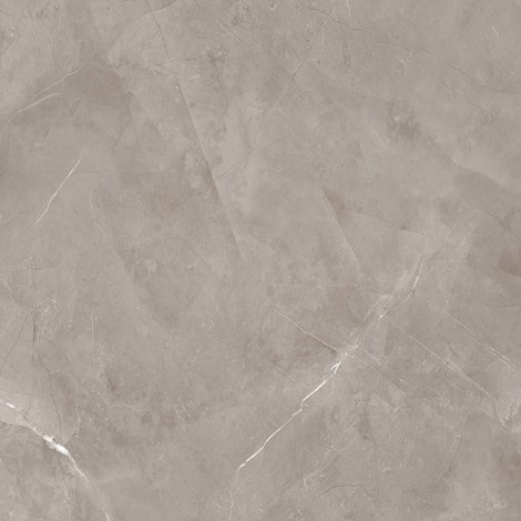 Керамогранит Harmonic grey POL 119,8x119,8 фото 1