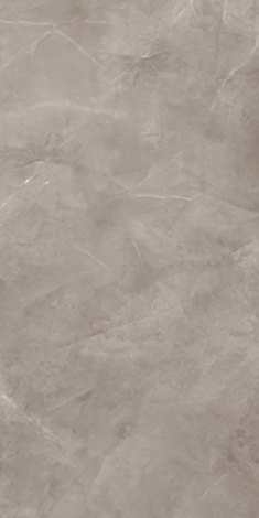 Керамогранит Harmonic grey POL 59,8x119,8 фото 1
