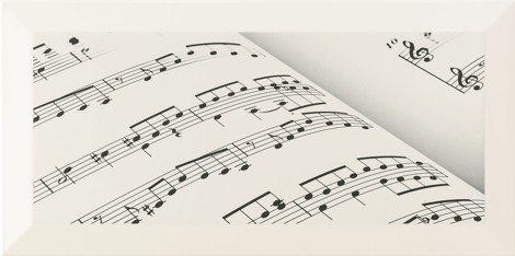 Декор Joy 5 STR 22,3x44,8