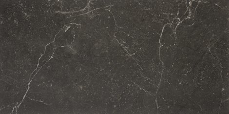 Плитка Lily black 29,8x59,8