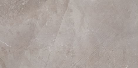 Плитка Muse Silver 29,8x59,8