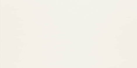 Плитка Ordessa white Mat 30,8x60,8