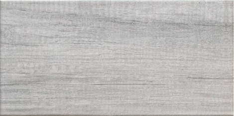 Плитка Pinia grey 22,3x44,8