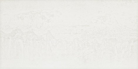 Плитка Ramina white 29,8x59,8