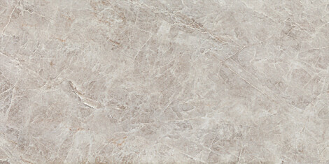 Керамогранит Root Grey Mat 59,8x119,8