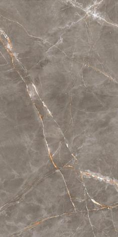 Керамогранит Shinestone grey Pol 119,8x239,8