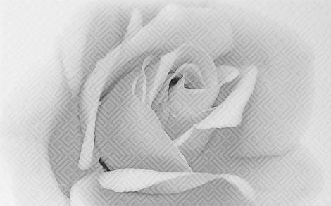 Декор Камелия 02 25x40