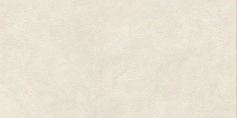Керамогранит SandBark Слоновая Кость Матовый 60x120 фото 1