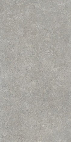 Керамогранит SandStone Серый 60x120 фото 1