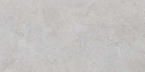 Керамогранит StoneSystem Боргония Клауд Серый Матовый 60x120 фото 1