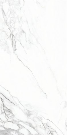 Керамогранит Eternal White polished rect 60x120