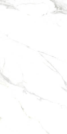 Керамогранит Royal Marble White Polished Rect 60x120 фото 1